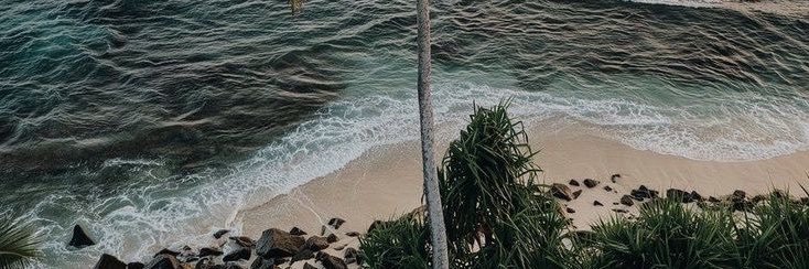tponkz's profile banner image