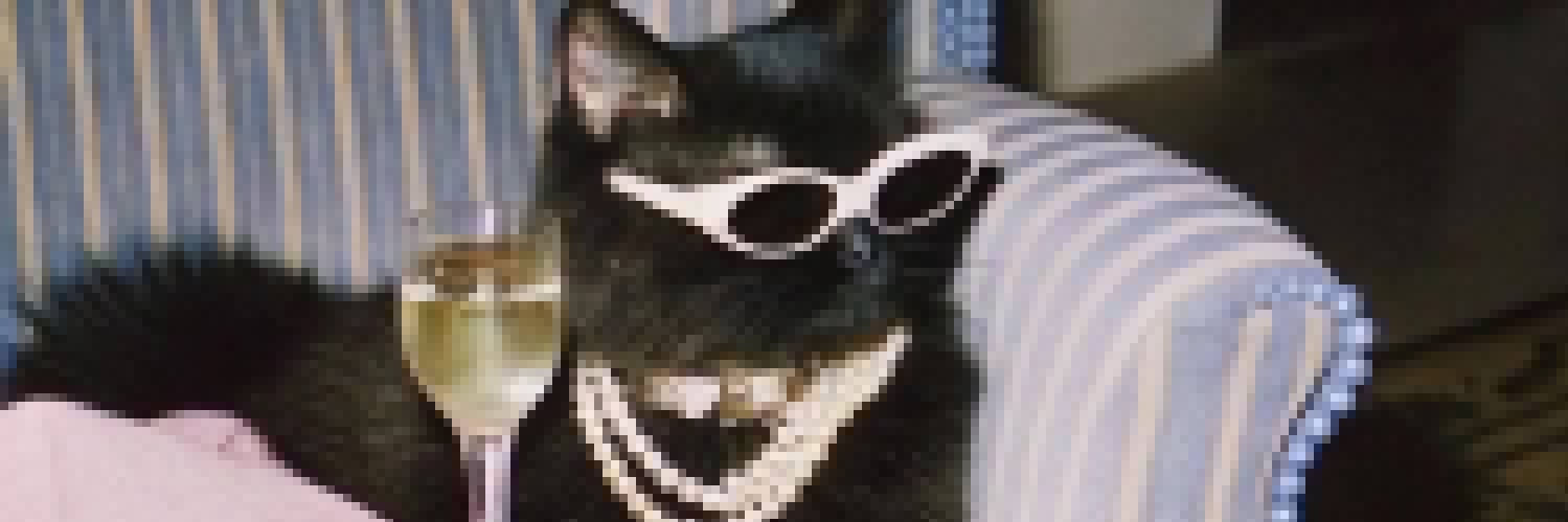 ScamKinkMistres's profile banner image