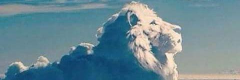 kt_fallonpal's profile banner image