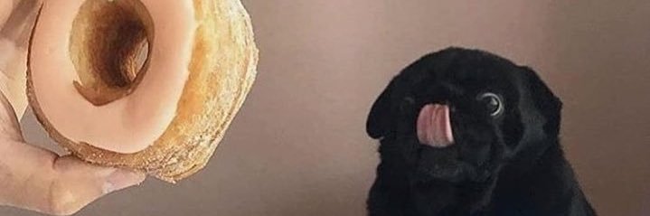 Ashley F 💚 banner