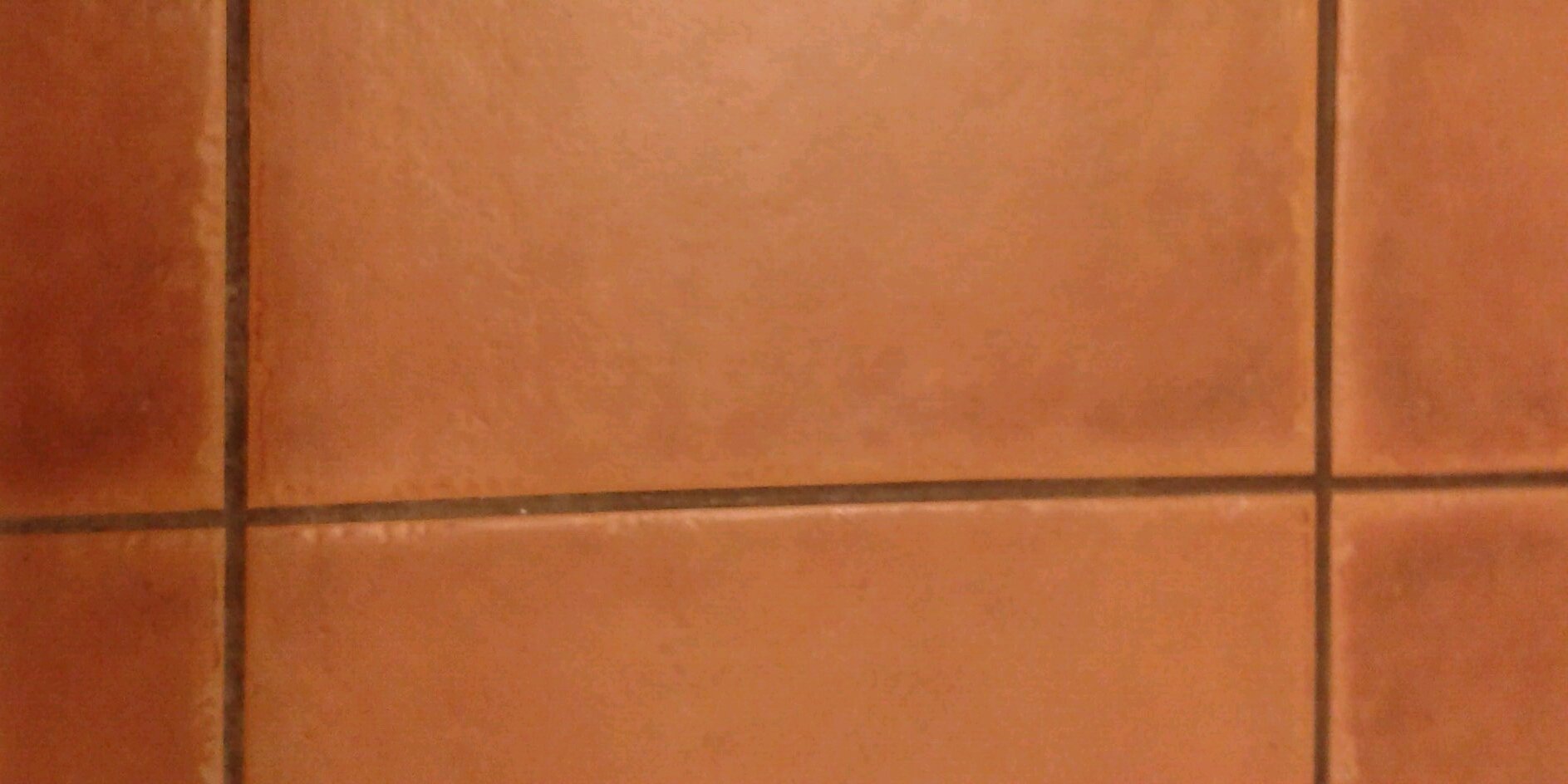 DailyLamHelp's profile banner image