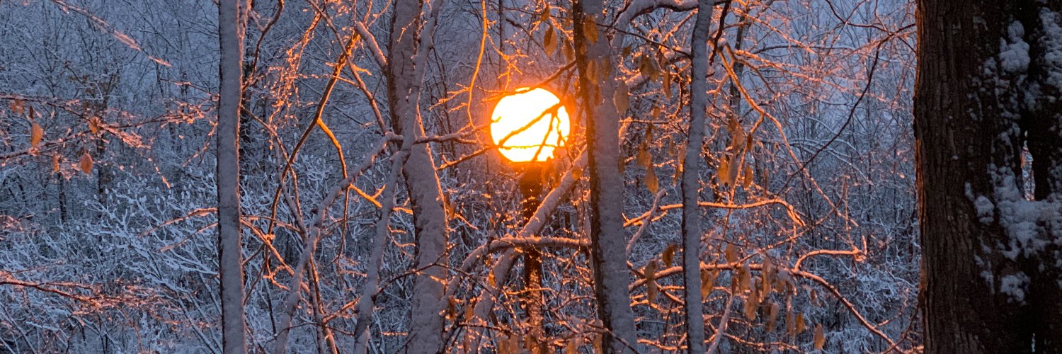 Daniel Goldberg banner