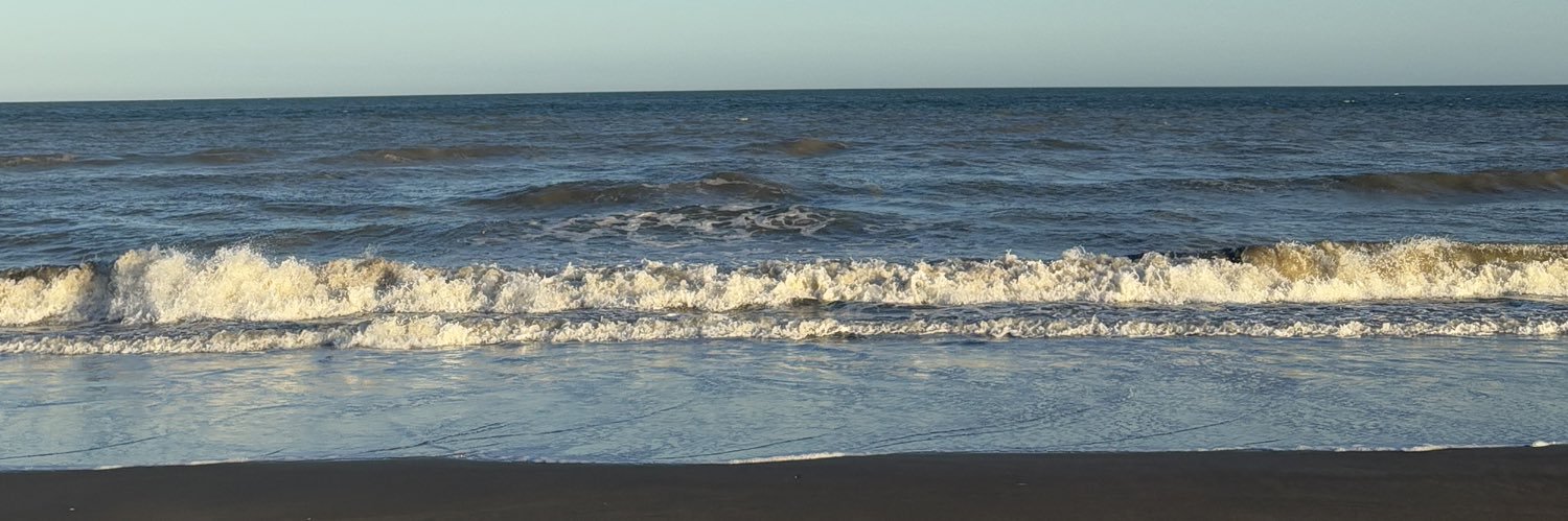 lupipansa's profile banner image