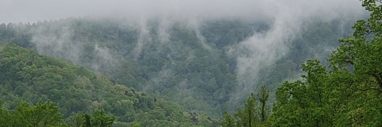DavesPea's profile banner image