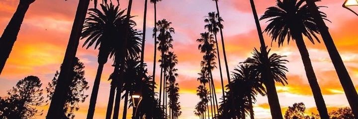 Felipearias98's profile banner image