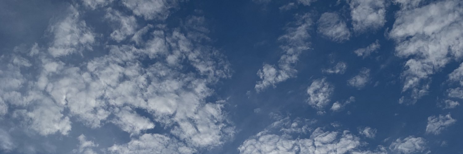 calliejoygraf's profile banner image