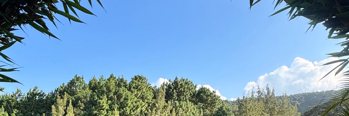 milviacde's profile banner image