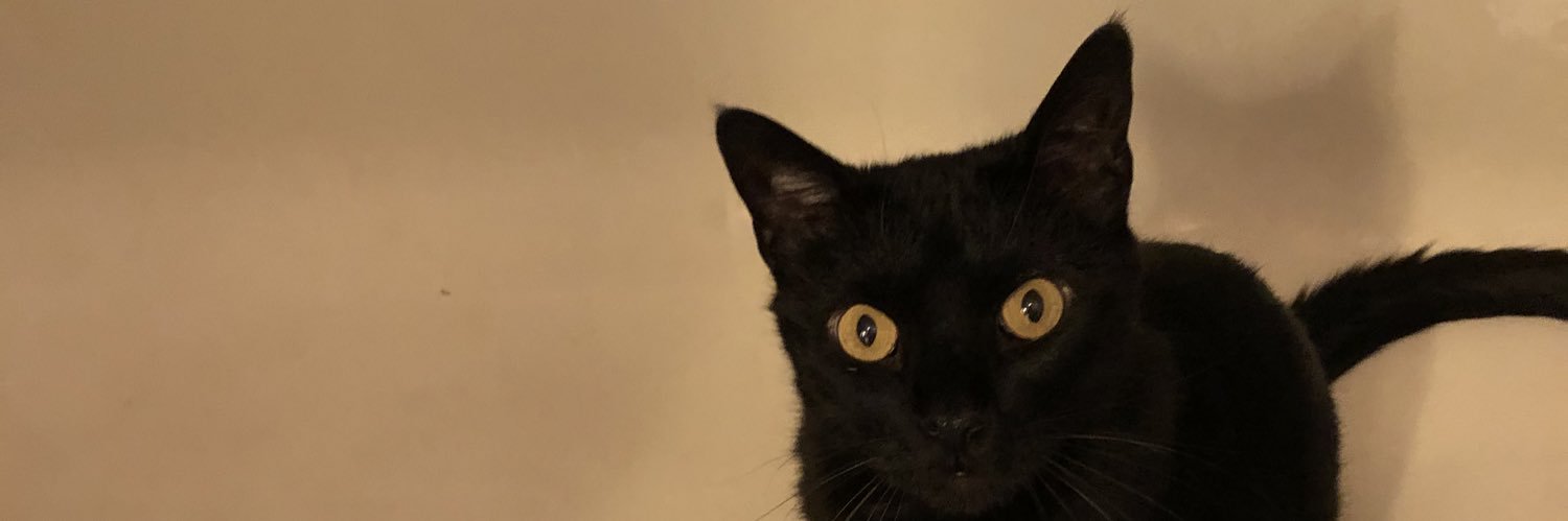 Morticat's profile banner image