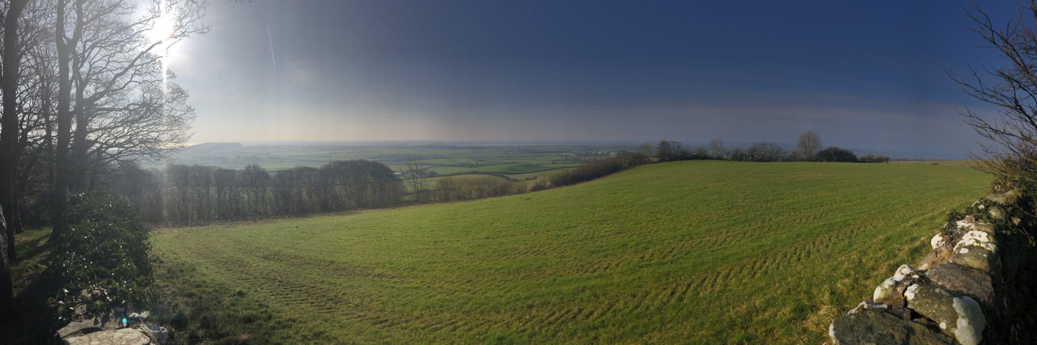 Anna Hall Ⓥ banner