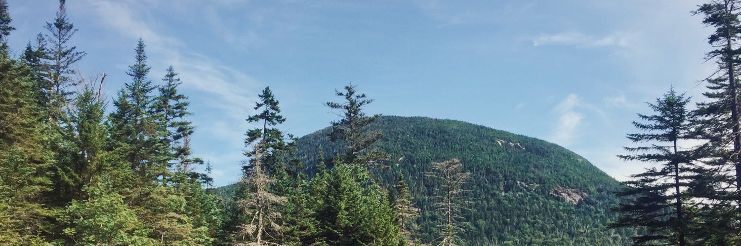 hannahwdel's profile banner image