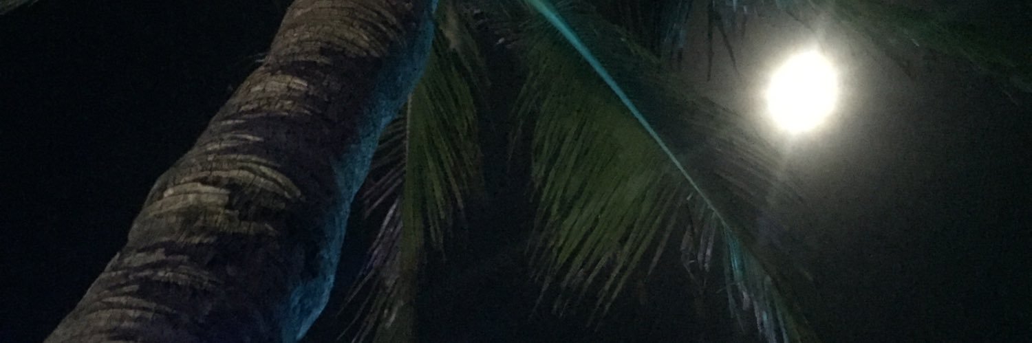 Joel_Welch's profile banner image