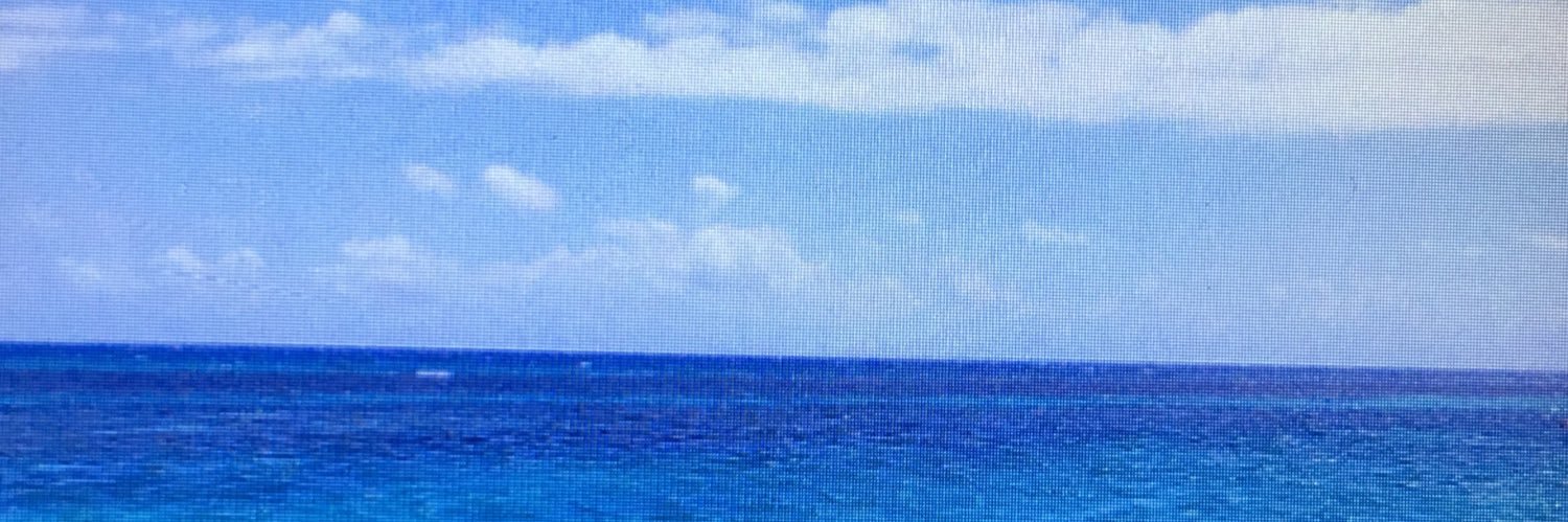 Addie Jones banner