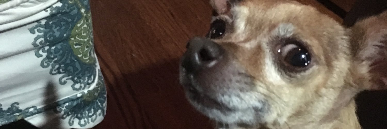 sassepie's profile banner image