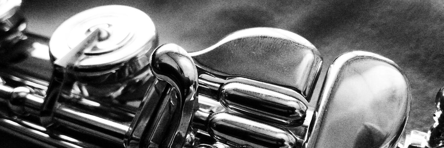 Elisarustam's profile banner image