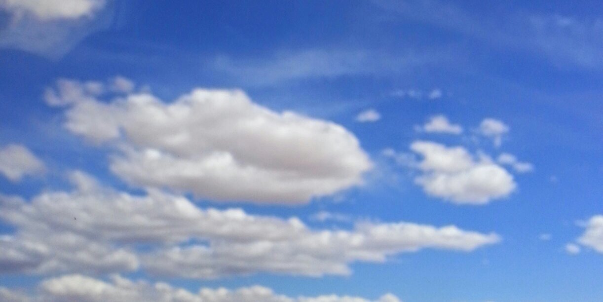 daisy_pal's profile banner image