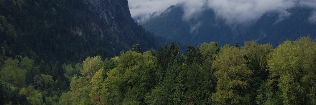 lambethnorth's profile banner image