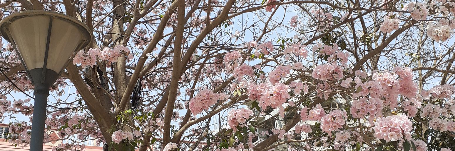 LeftRightCenter banner