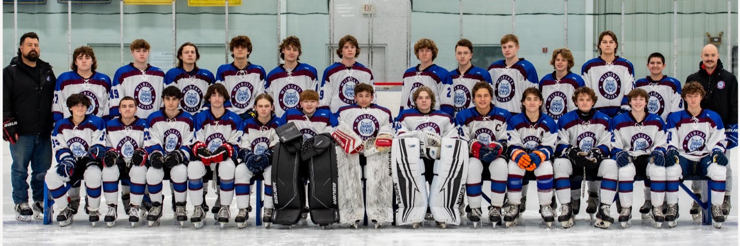 Wildcats Hockey banner