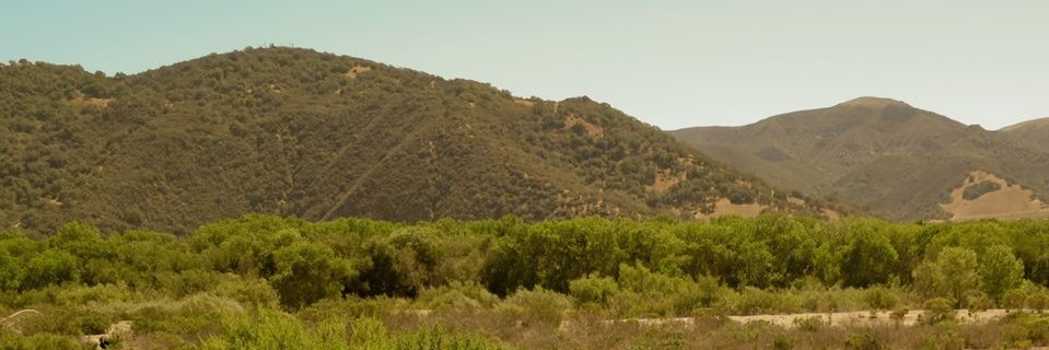boileau's profile banner image