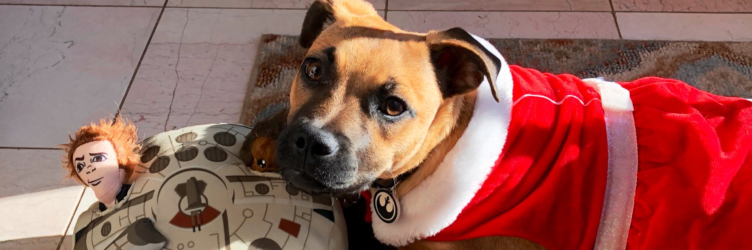 KathiCastoro's profile banner image