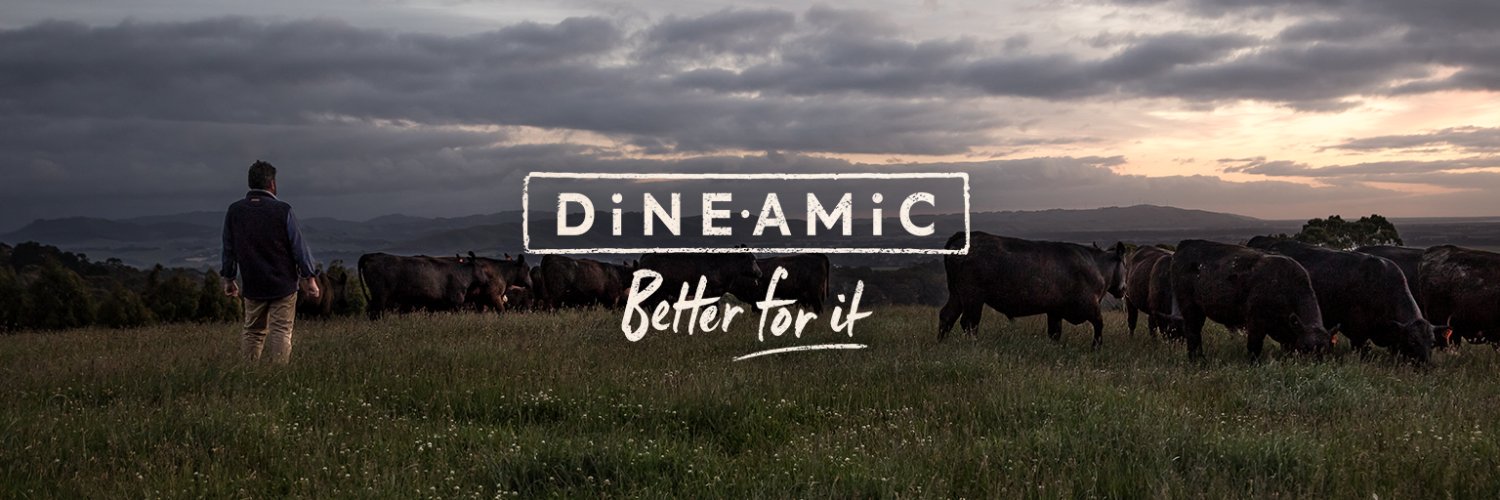 dineamicfood's profile banner image