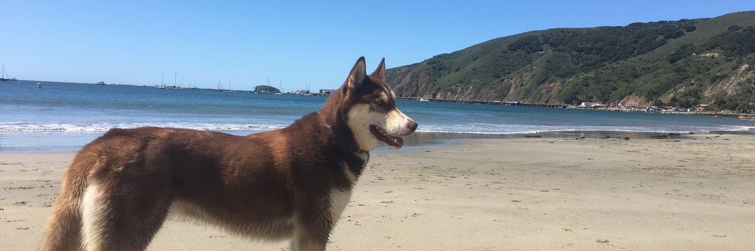 ADizzle5's profile banner image
