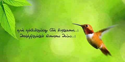 lilly120673's profile banner image