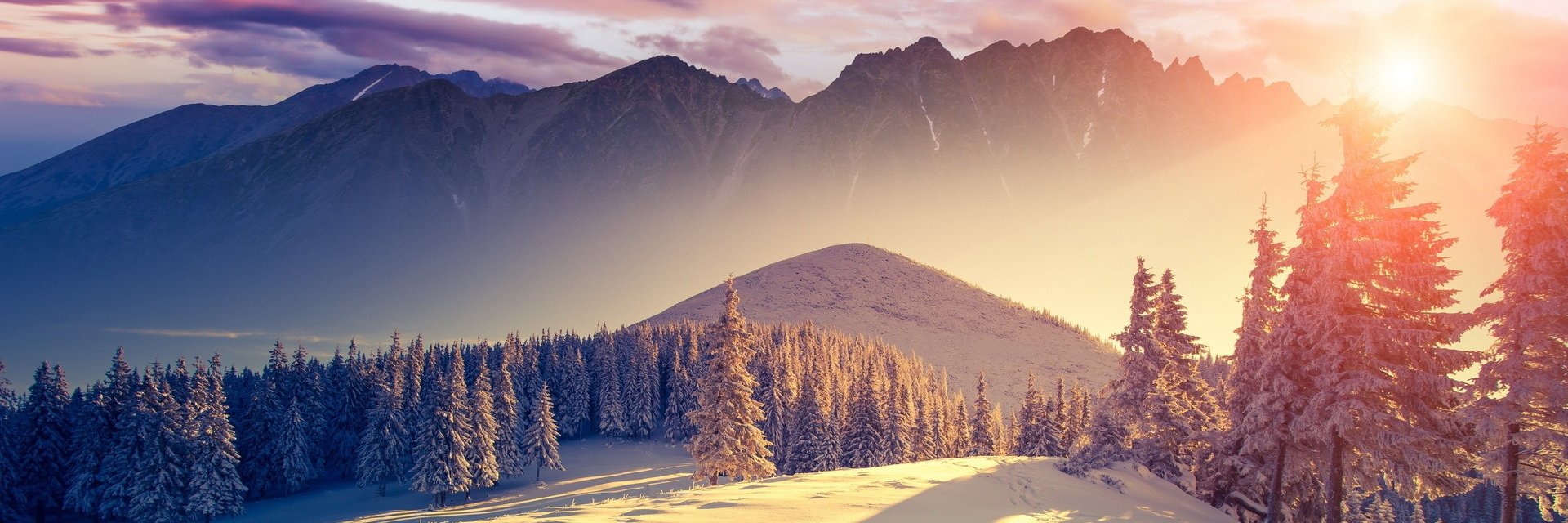 Rachel_Cavallo's profile banner image