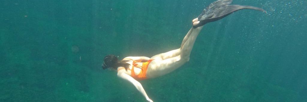 gretagutierrez's profile banner image