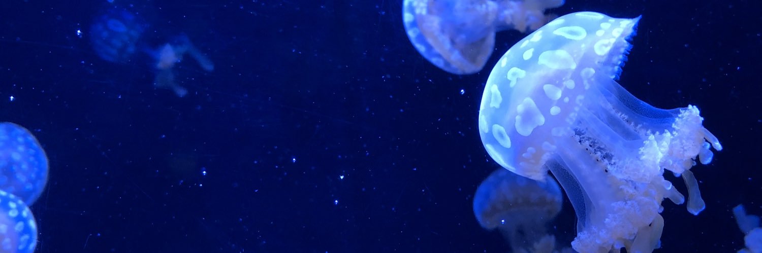 ☆ andrew ☆ banner