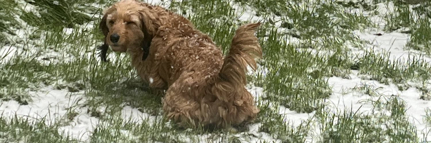BrewisAdam's profile banner image