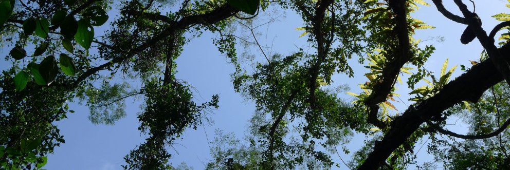 annasalty's profile banner image