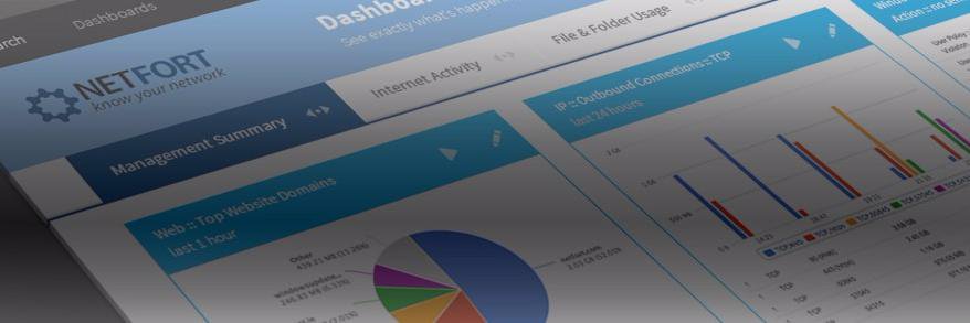 NetFort banner