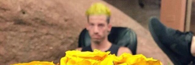 GoldHailey's profile banner image