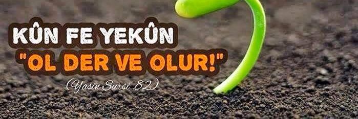 omerfarukguzel's profile banner image