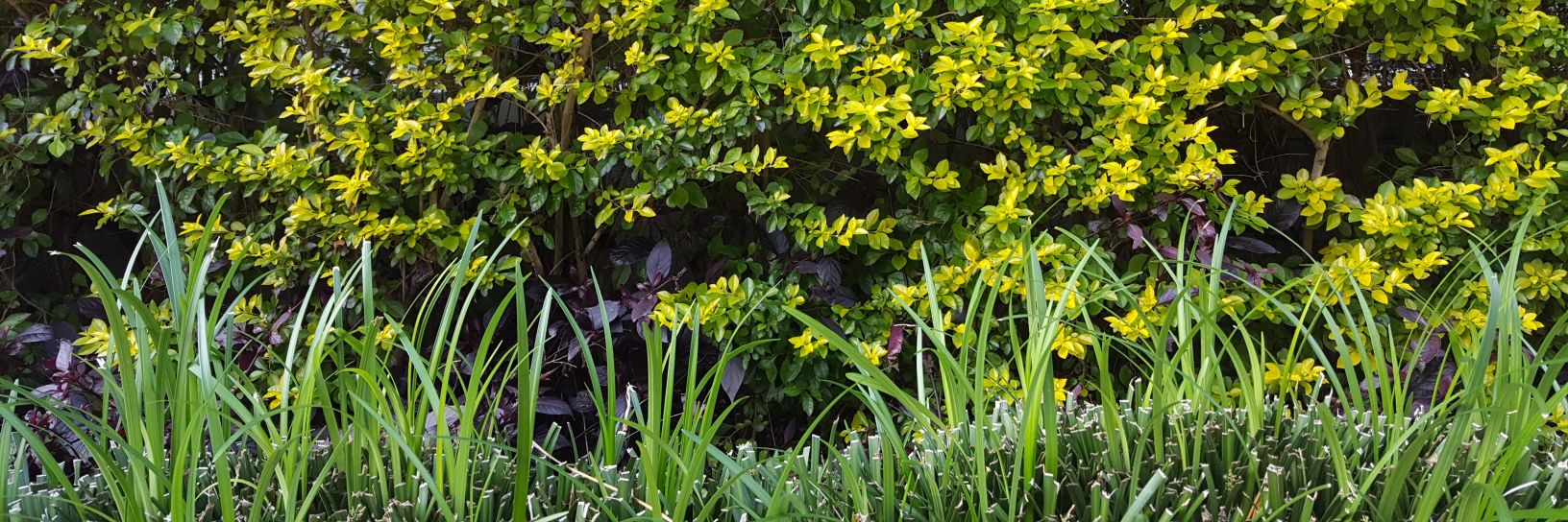 JustinmLow's profile banner image