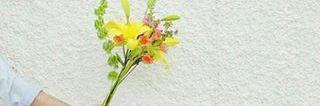 nie_Roa's profile banner image