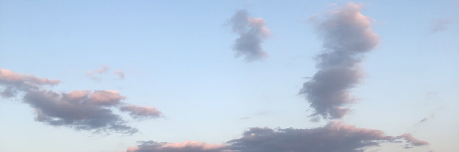 coconatu1130's profile banner image