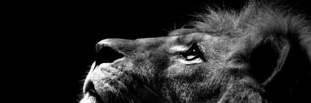 Ucsamy's profile banner image