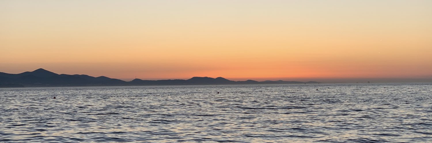 AngelaSanchezVignote banner