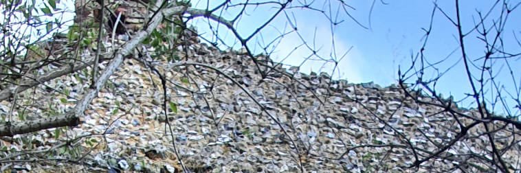 tpayne1998's profile banner image