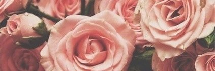 iklimasept's profile banner image
