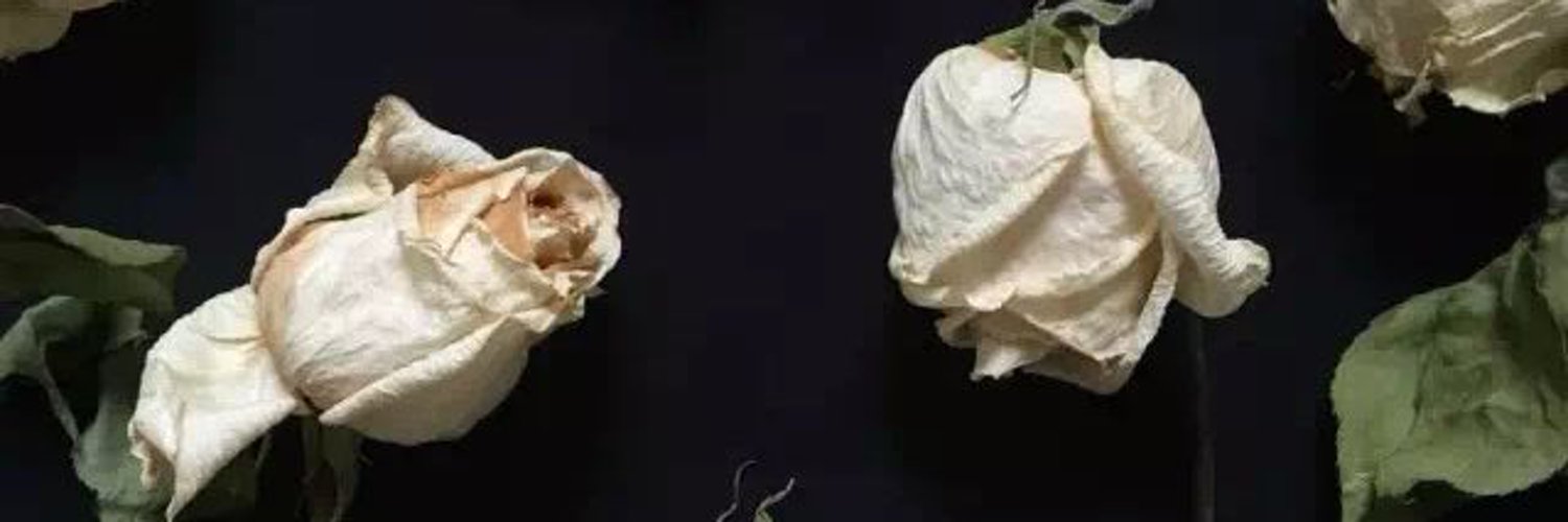 yckfw's profile banner image