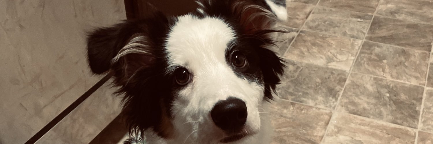 kmcflurryy's profile banner image