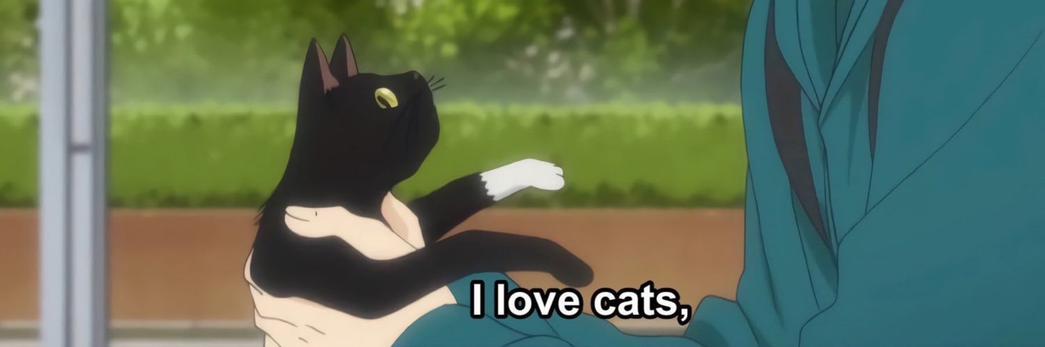 승미🐈‍⬛ྀི banner