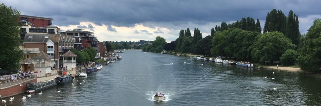 ShakespeareCat1's profile banner image