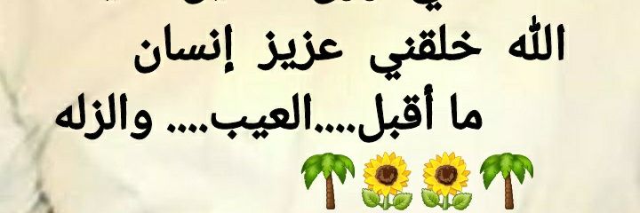 ali12345000000's profile banner image
