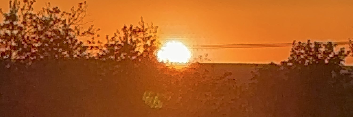 msdologuin's profile banner image