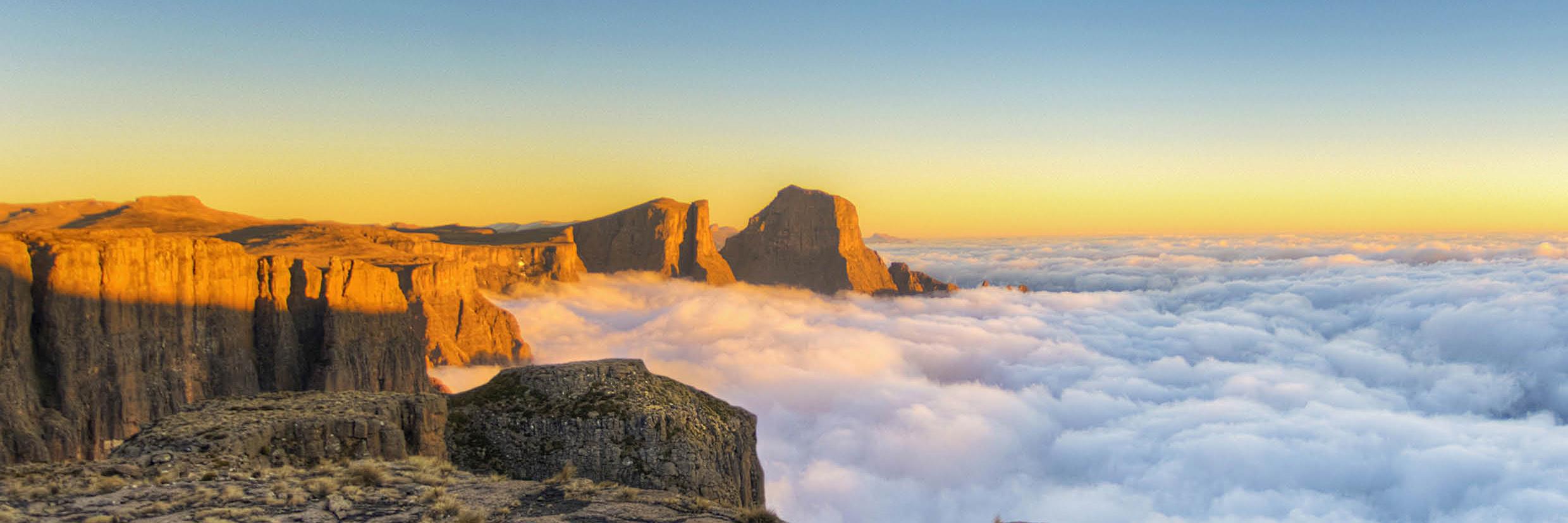 Wildside Magazine banner