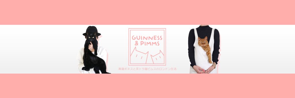 RinaTakei73's profile banner image